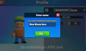 Name change screen of Stumble guys app